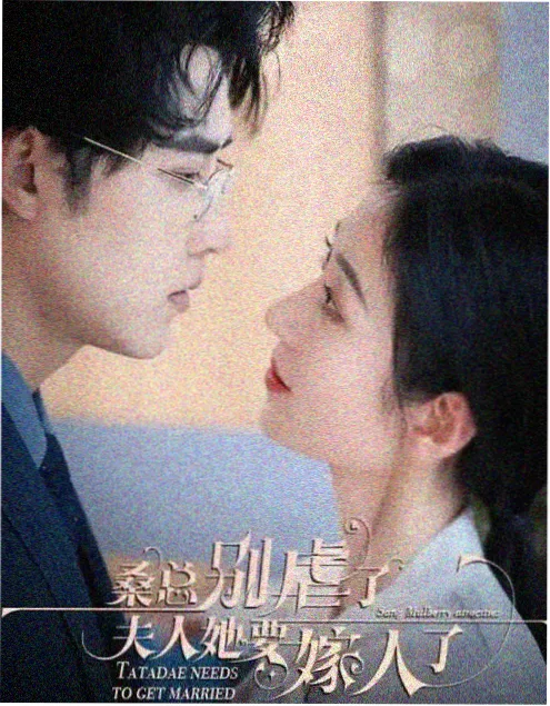 贤者之爱 幕后纪录片 封面